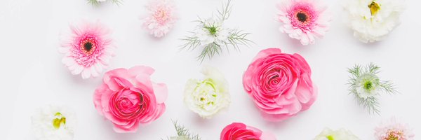 ivanonigra's profile banner image
