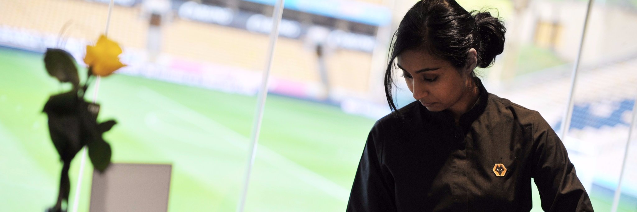 Corporate Wolves banner