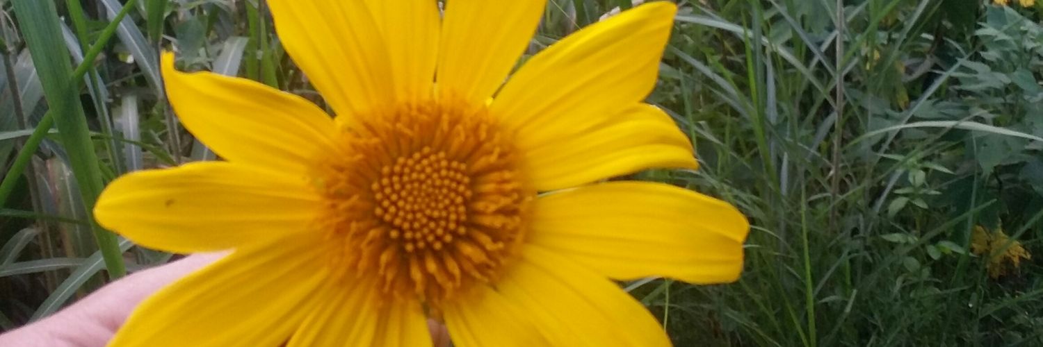 itsmeJessieDuke's profile banner image