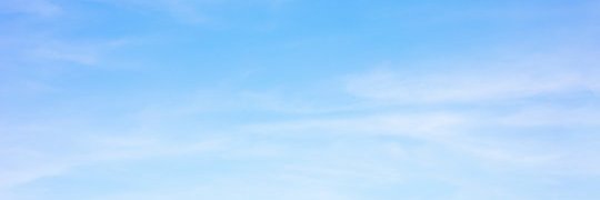 팔백 banner