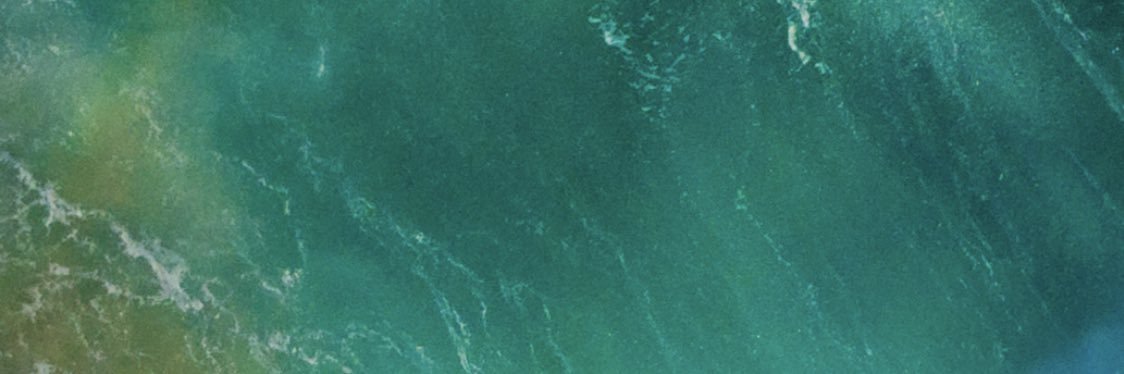 nocapdickson's profile banner image