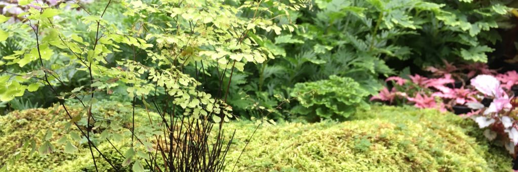 FoxyKiss_'s profile banner image