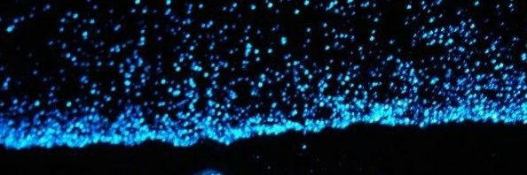 Daniel Cabrera banner