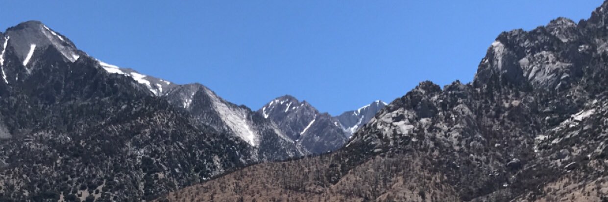 vervbot's profile banner image