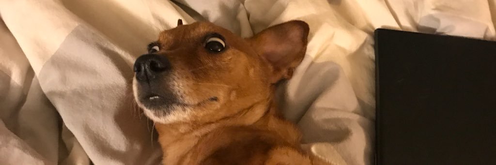 kwcraig's profile banner image