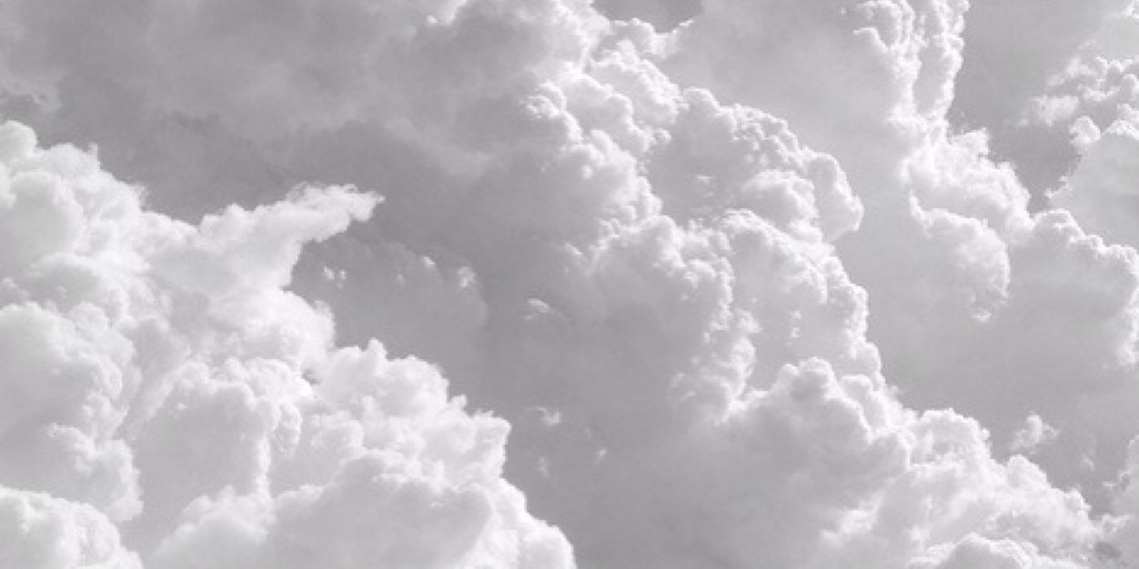 burty_beetle's profile banner image