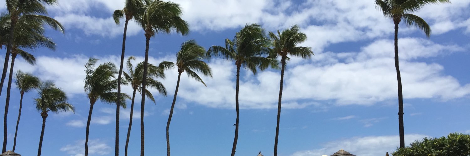 bridgetisweird's profile banner image