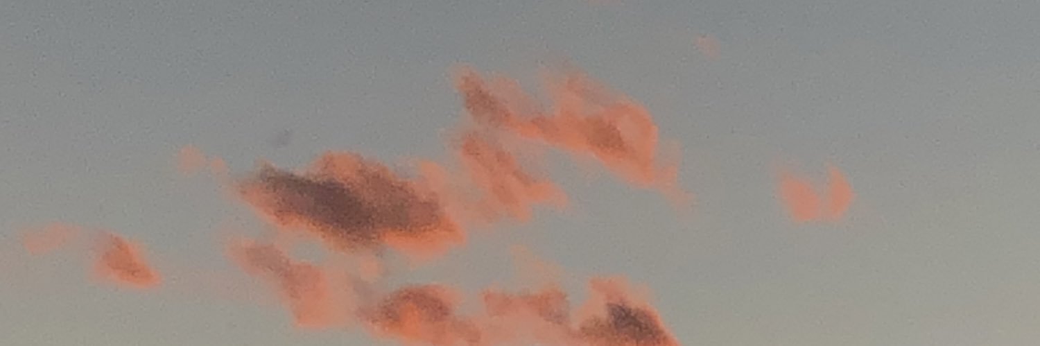 christiesmip's profile banner image