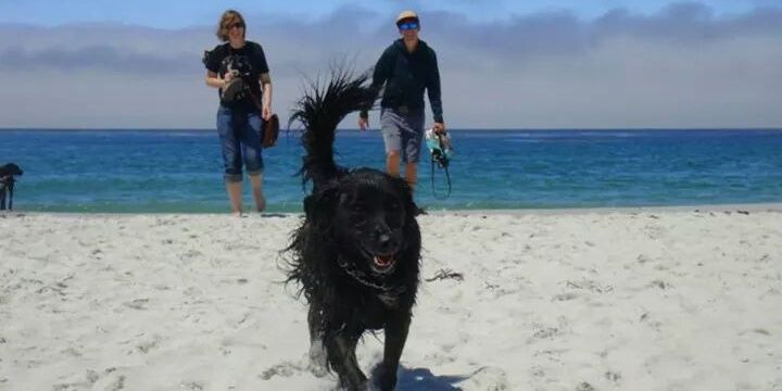 Erin Bartolome banner