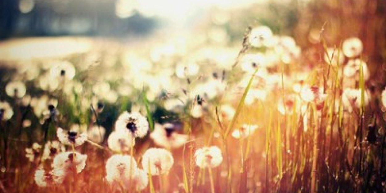 beatrice_mc's profile banner image