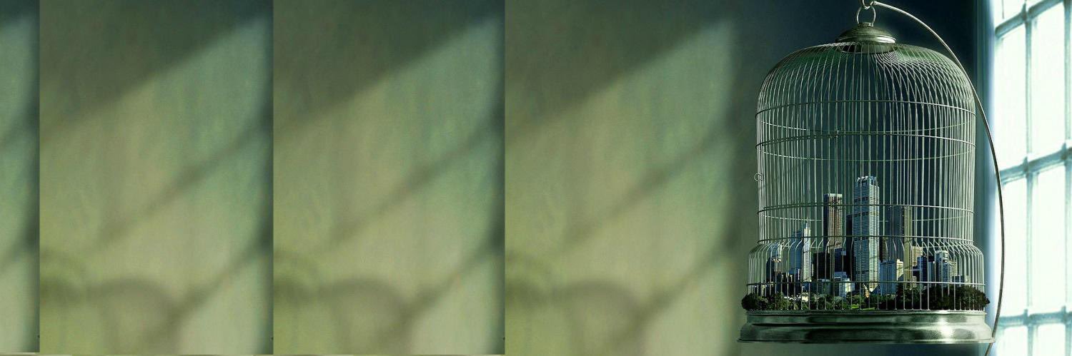 dani_platsch's profile banner image