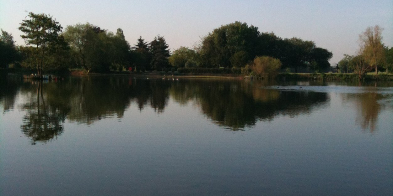 Eileen Murphy banner