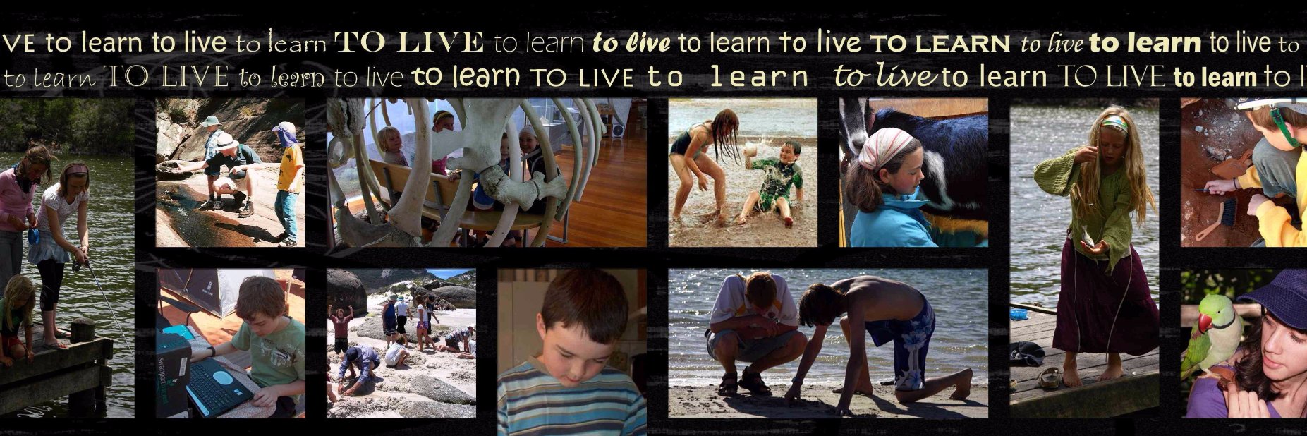 Home Ed Network banner