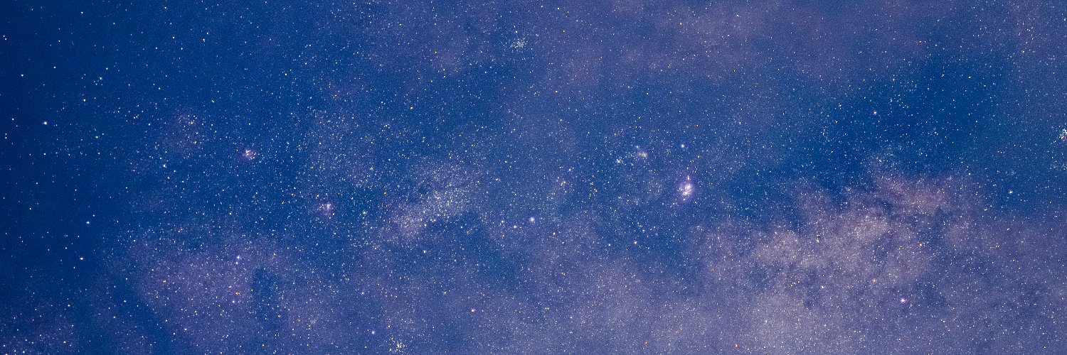 toymil banner