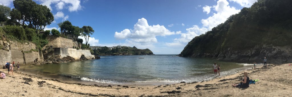 Felicity Turner banner