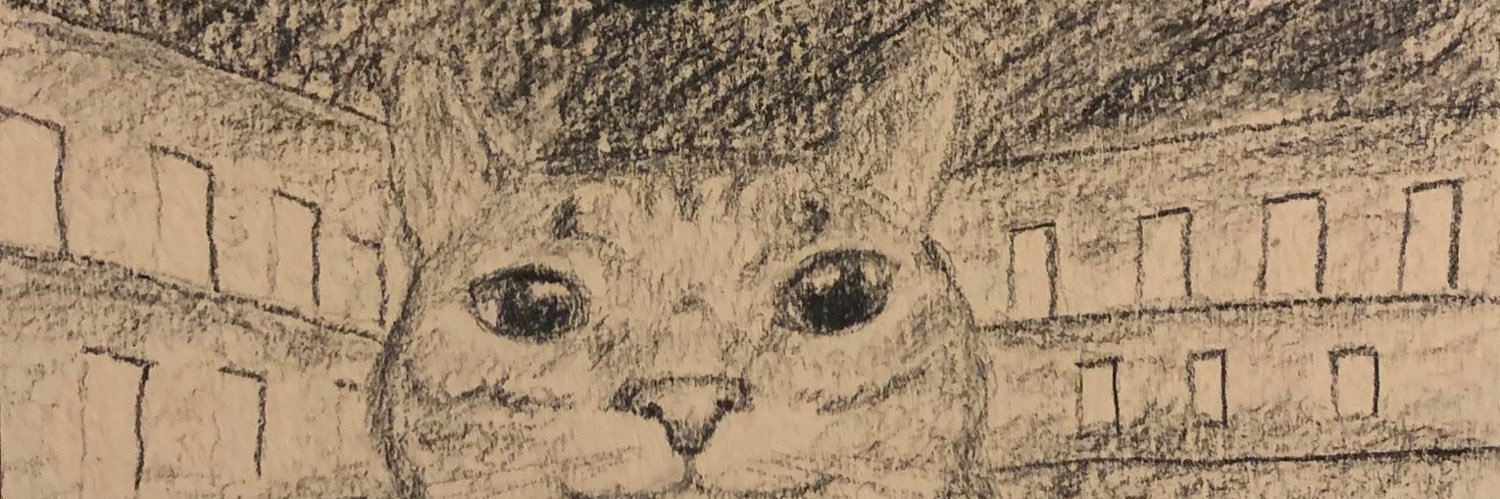 nohoes147's profile banner image