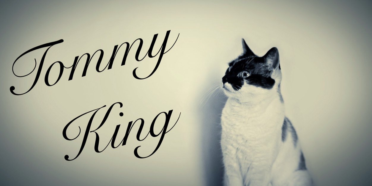 Tommy King banner