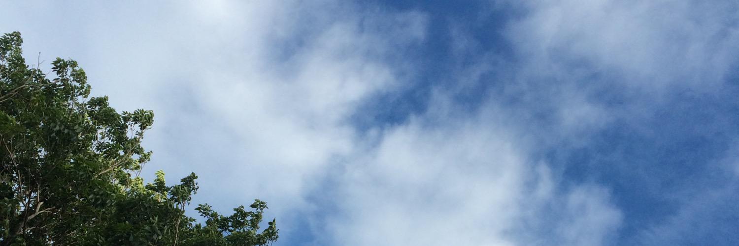 Dinsloth's profile banner image