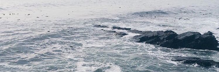 NicoleAdolph_'s profile banner image