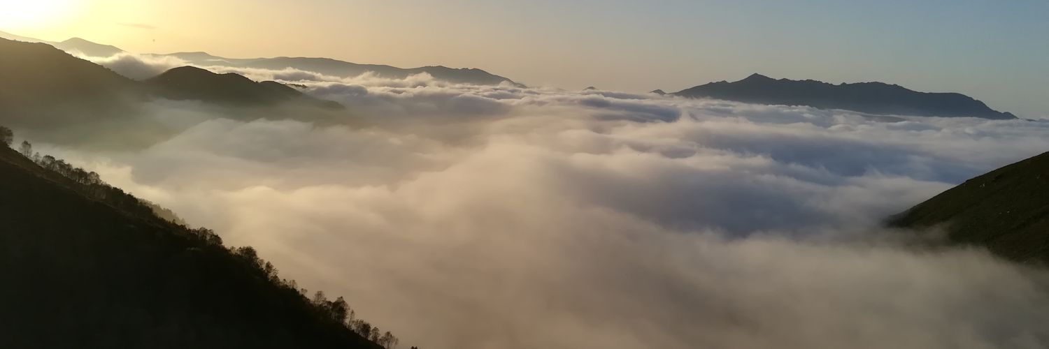 CACOLLOBU's profile banner image