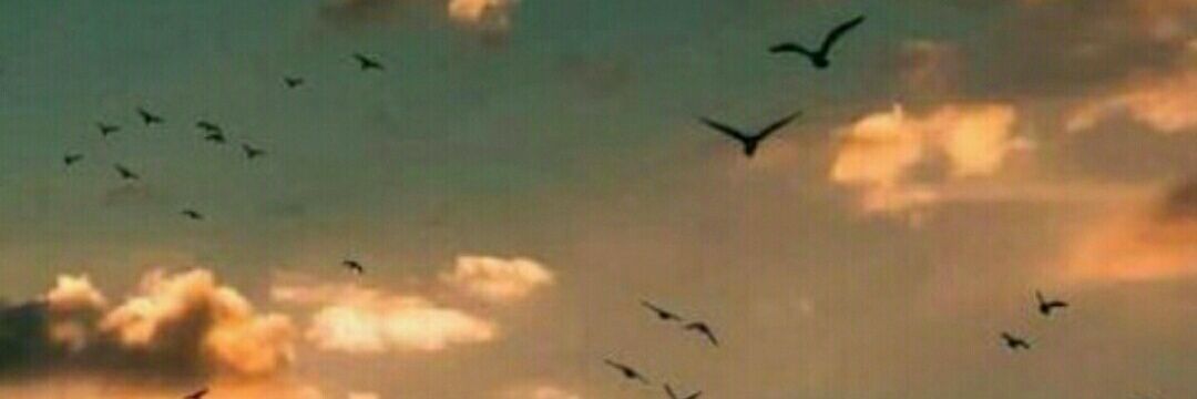 🇸🇦🌟jlg.'g banner