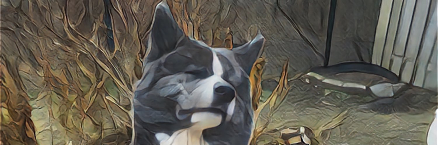 Raphael Tsantili banner