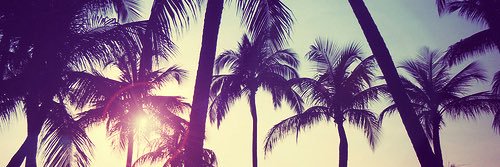 Jeniah_Love's profile banner image