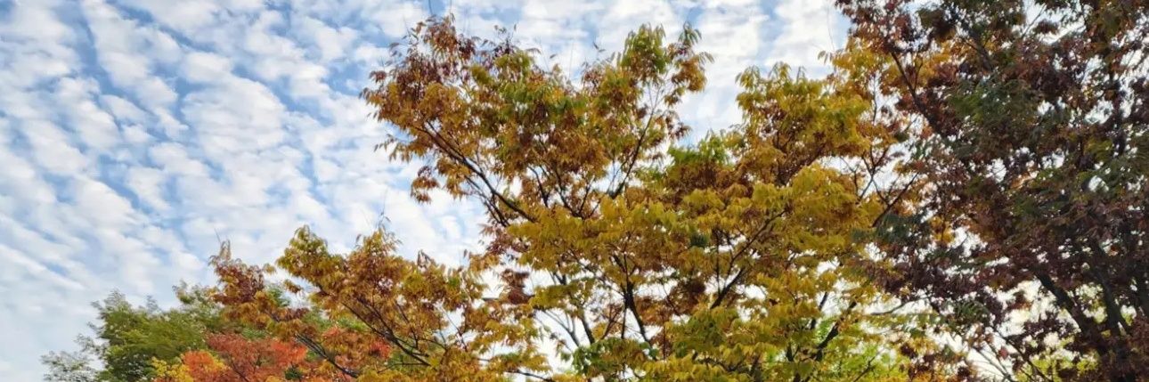 meaningofMN's profile banner image