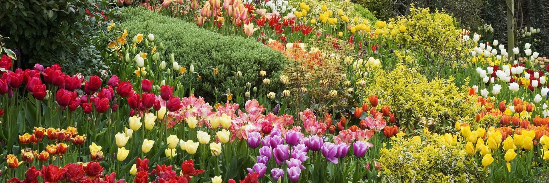 Home and Garden (@GardeningPhotos) / Posts / X