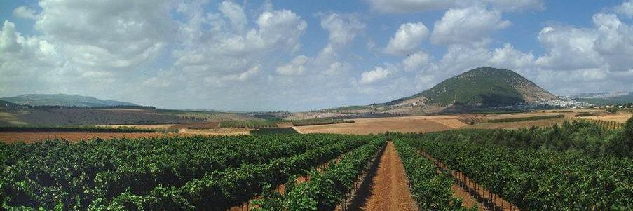 TaborWinery's profile banner image