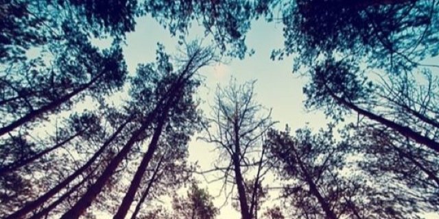 m_slush's profile banner image