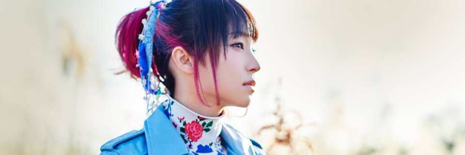xiaopetrush's profile banner image