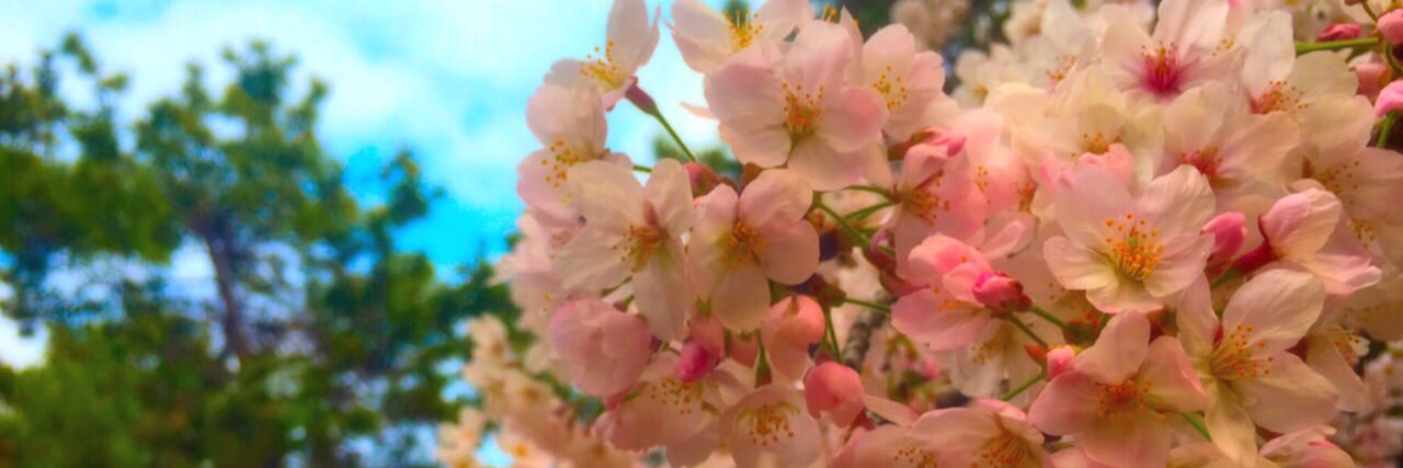 ars_ayai's profile banner image