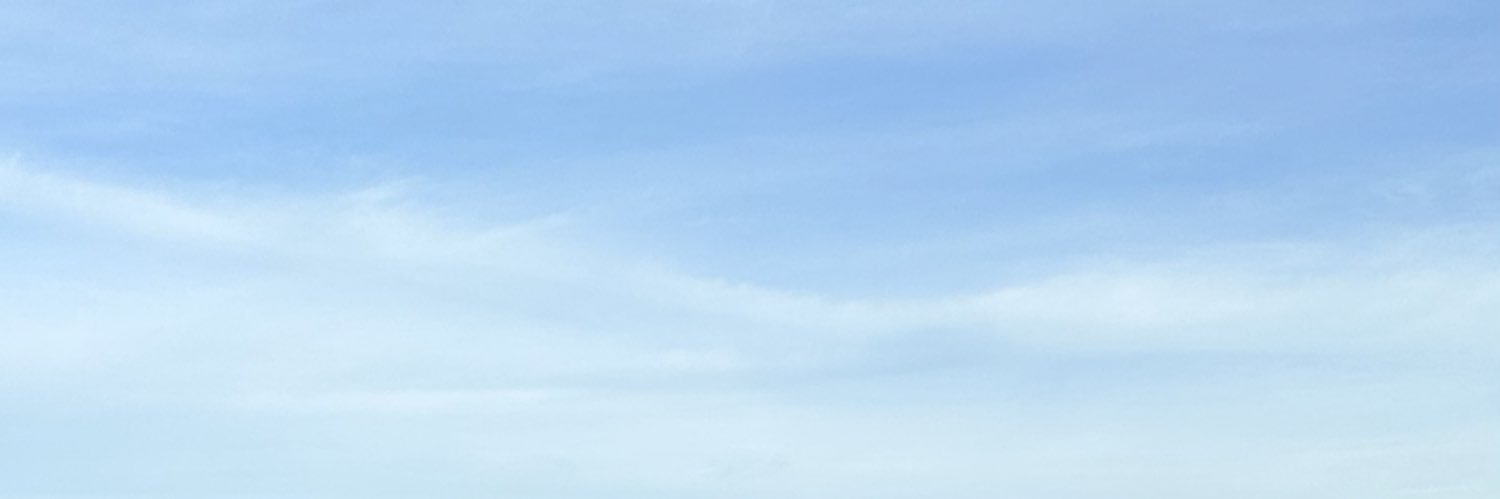 ainnaimmi's profile banner image