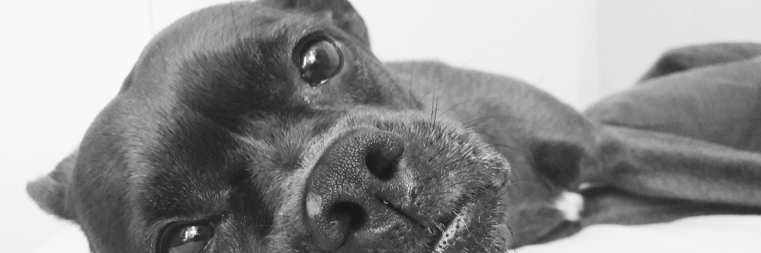 Vickineffa's profile banner image