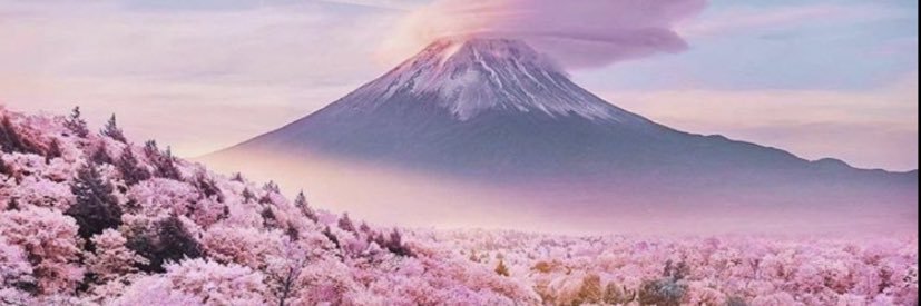 asshern2062111's profile banner image