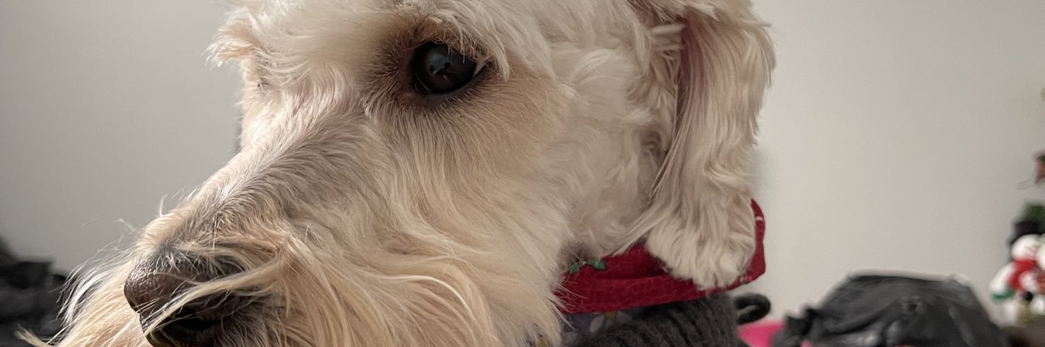 BillyL1981's profile banner image