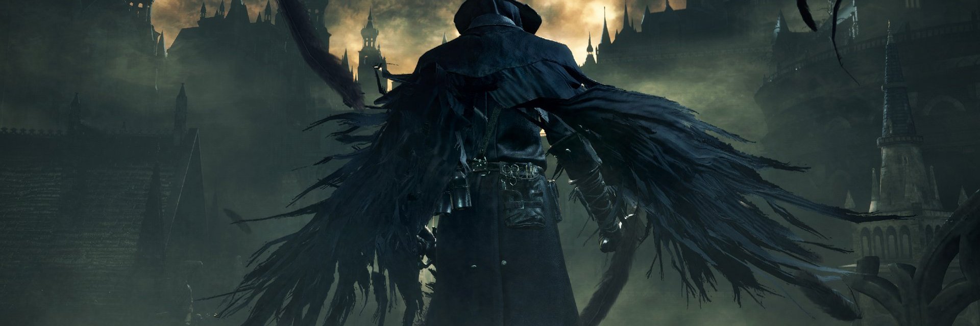 senapilol's profile banner image