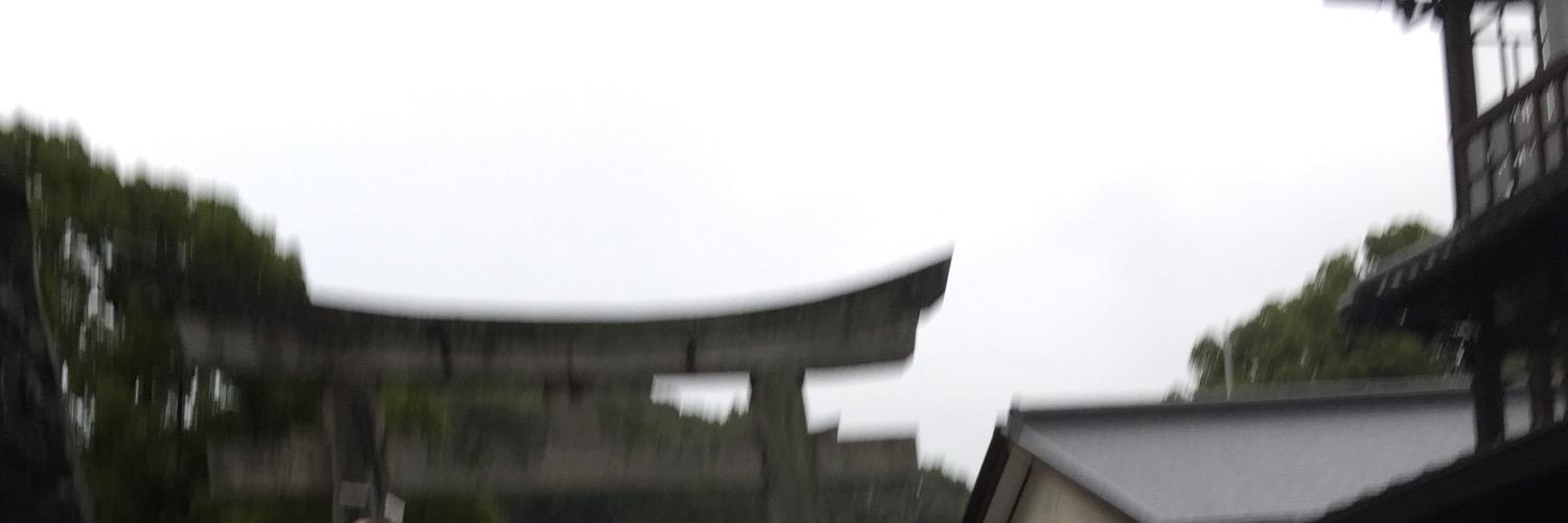 musukappa's profile banner image
