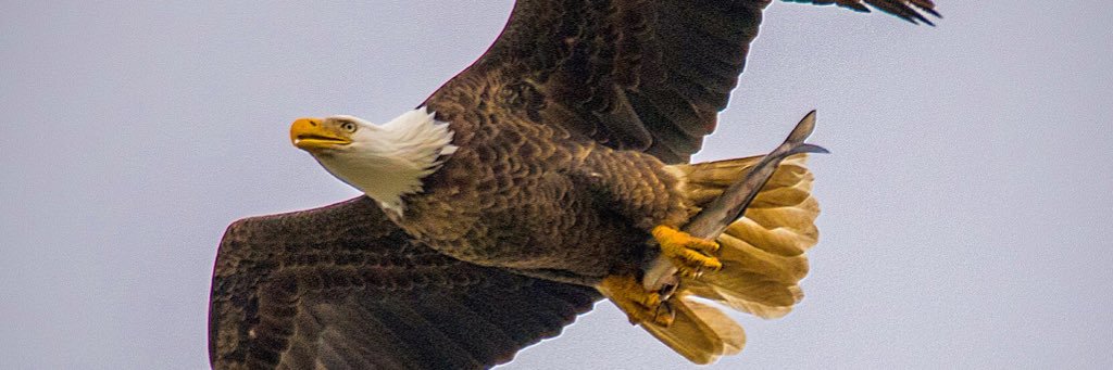 Zach4523's profile banner image