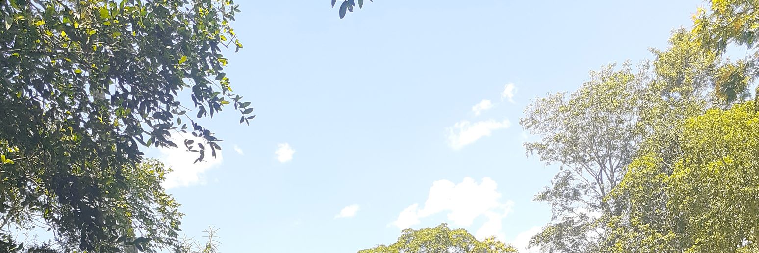 CLEON27's profile banner image