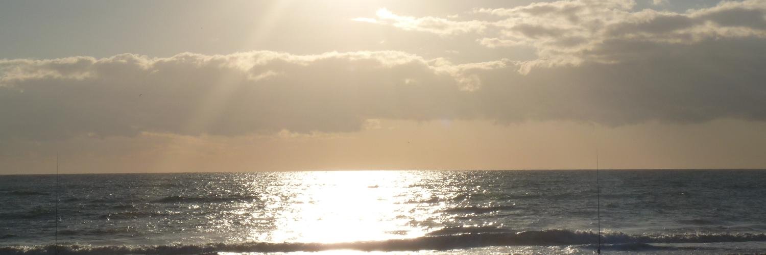 Steph_Tho's profile banner image