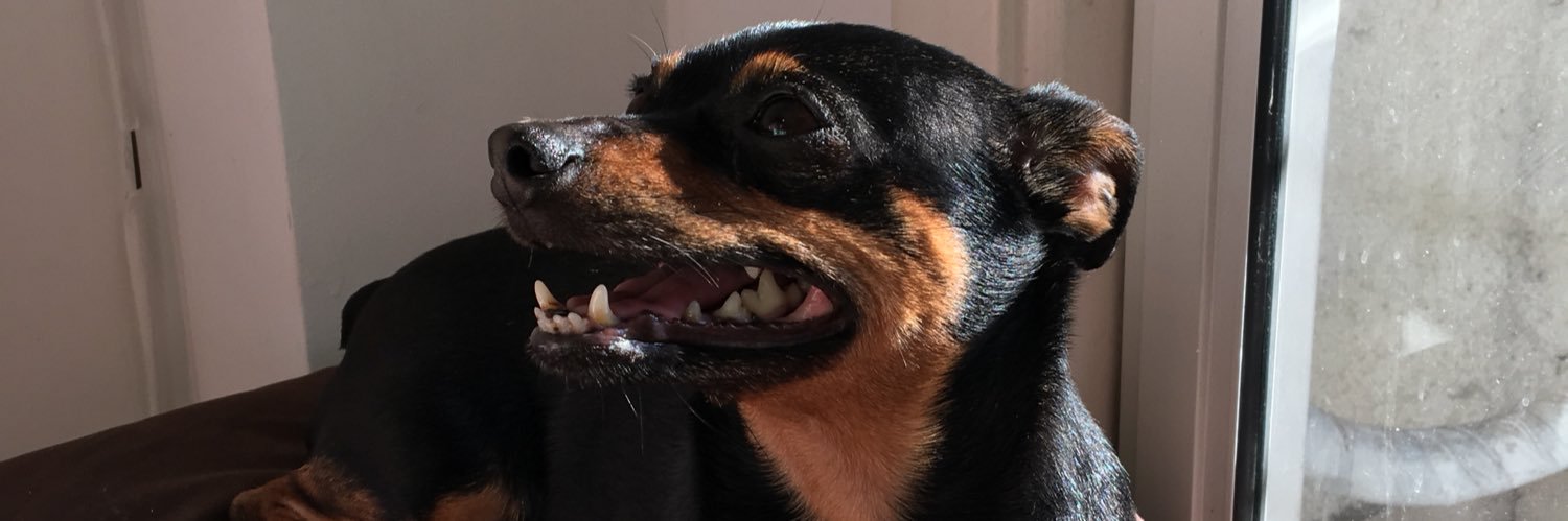 gggeher's profile banner image