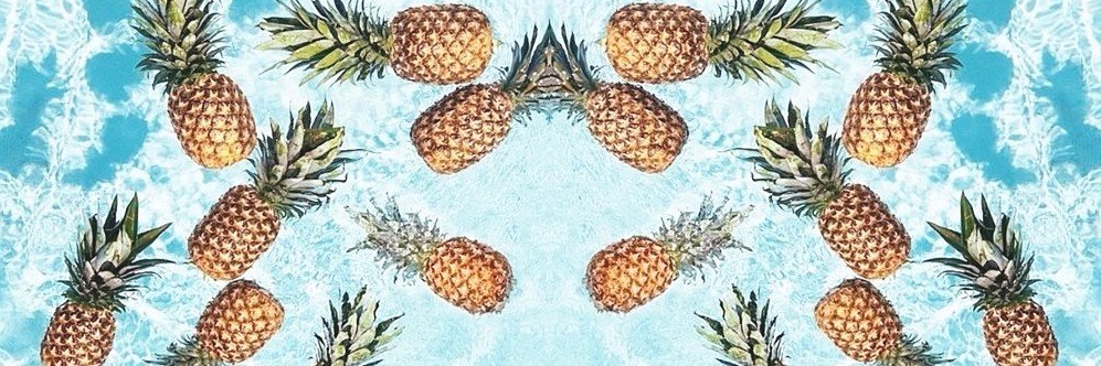 ilipixie's profile banner image