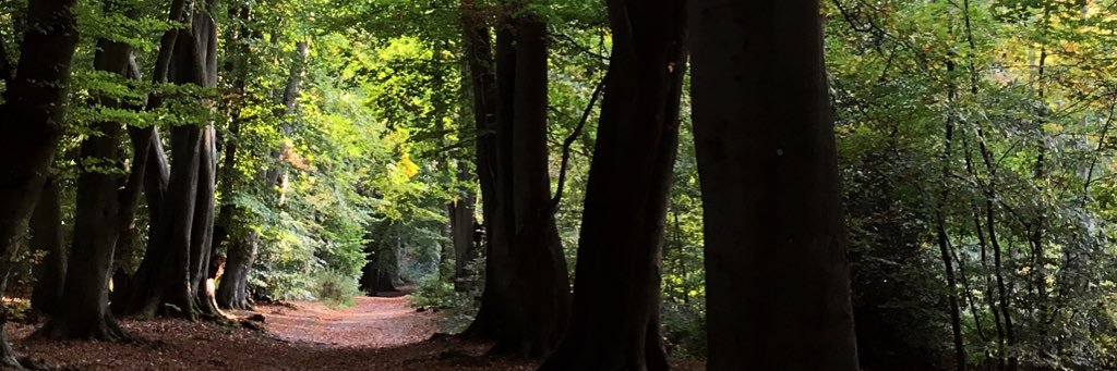 HelenWolsten's profile banner image