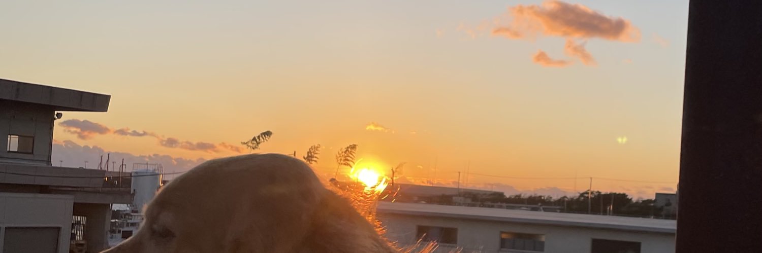 jukan__16's profile banner image