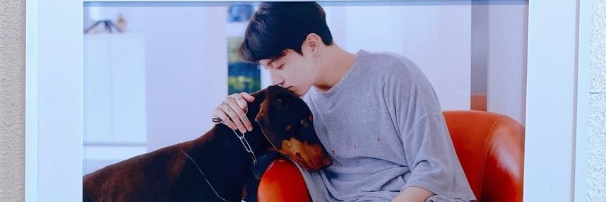 PPisBuBoo's profile banner image