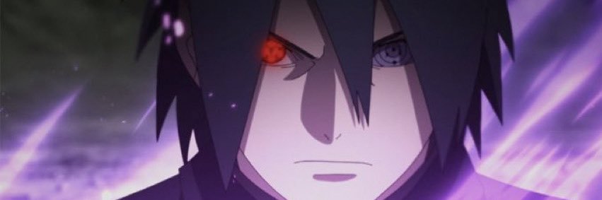 Dani banner