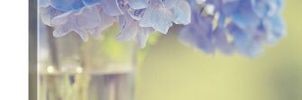 myboohydrangeax's profile banner image