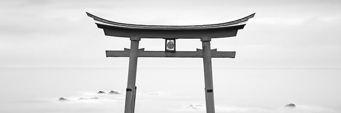 Nathalie Belhoste banner